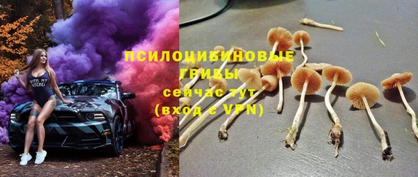 а пвп мука Армянск
