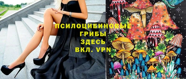 соль ск Аркадак