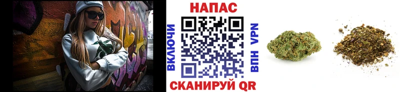 Каннабис план Байкальск